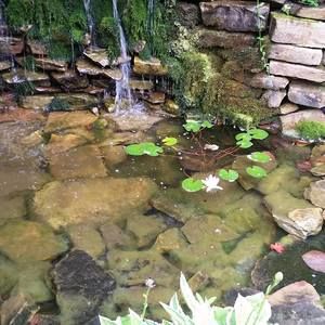 Meet your Posher, Dona